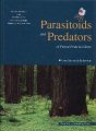 (image for) Parasitoids and Predators of Forest Pests in China