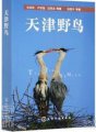 (image for) Wild Birds of Tianjing (Tianjin Ye Niao )