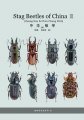(image for) Stag Beetles of China III
