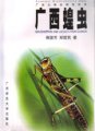 (image for) Grasshoppers and Locusts from Guangxi
