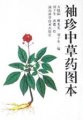 (image for) A Pocket Illustrated Dictionary of Chinese Herbal Medicines