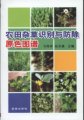 (image for) The Coloured Atlas of Recognition and Control of Farmland weeds(Nongtian Zacao Shibie Yu Fangchu Yuanse Tupu)