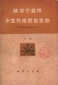 (image for) The Mesozoic Stratigraphy and Paleontology of Shaanxi-Gansu-Ningxia Basin (ShaanGanNing Pendi Zhongshengdai Dicheng Gushengwu) (Used) (2 Volumes Set)