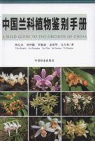(image for) A Field Guide to the Orchids of China