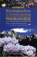 (image for) Rhododendron in Mountain Siguniang