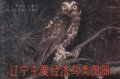 (image for) Atlas of Major Economic Birds in Liaoning Province , China (Liaoning Zhuyao Jingji Niaolei Tuce)(Used)