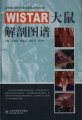 (image for) Atlas of Anatomy of Wistar Big Mouse(Wistar Da Shu Jie Pou Tu Pu)