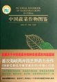 (image for) Pictorial Handbook of Vegetable Crops in China