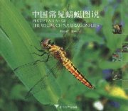 (image for) Photo Atlas of the Usual China Dragonflies