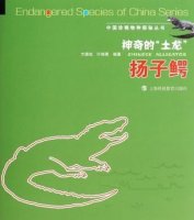 (image for) Chinese Alligator-Endangered Species of China Series