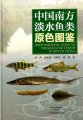 (image for) Photographic Guide to Freshwater Fishes in South China