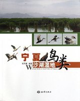 (image for) Wetland Birds in Sand Lake of Ningxia
