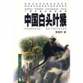 (image for) White-Headed Langur (Zhong Guo Bai Tou Ye Hou)