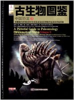 (image for) A Pictorial Guide to Paleontology - Dinosaurs of China (Vol.2)