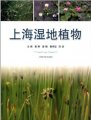 (image for) Wetland Plants of Shanghai