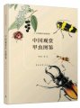 (image for) Atlas of Ornamental Beetles in China