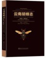 (image for) Wasps Fauna of Yunnan