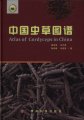 (image for) Atlas of Cordyceps in China