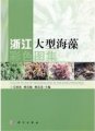 (image for) Color Atlas of Macroalgae in Zhejiang Province