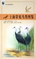 (image for) Atlas of Common Birds in Shanghai