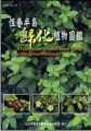 (image for) A Field Guide to Naturalized Plants in Hengchun Peninsula