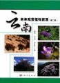 (image for) Woody Ornamental Plant Resources in Yunnan (Vol.2)