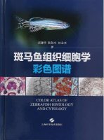 (image for) Color Atlas of Zebrafish Histology and Cytology
