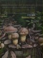 (image for) Wild Mushroom of Yunnan, China-Illustrations of More than one Hundred Kinds of Mushrooms