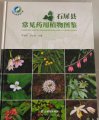 (image for) Illustrated Guide to Common Medicinal Plants in Shiping County