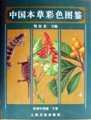(image for) Atlas of Traditional Chinese Medicinal Plants in Live Colour (Vol.3) (E-Book)