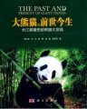 (image for) The Past and Present of Giant Panda