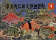(image for) Atlas of the Sea Fishes of China in Live Color (2-Volume set)