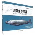 (image for) Atlas of Fishes of the Xizang Plateau