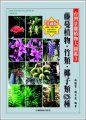 (image for) A Field Guide to Landscape Plants in Taiwan 3: Vines plants, Bamboos, Coconuts 626 Species