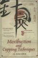 (image for) Moxibustion and Cupping Techniques (PAL)