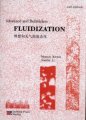 (image for) Idealized and Bubbleless Fluidization