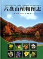 (image for) A Photographic Guide to Plants of Liupanshan