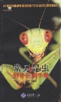 (image for) A Photographic Guide to Insects of China