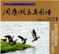 (image for) Atlas of Birds in Dongting Lake