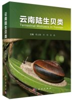 (image for) Terrestrial Molluscs in Yunnan