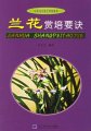 The knack of appreciating orchids (LANHUA SHANGPEI YAOJUE)