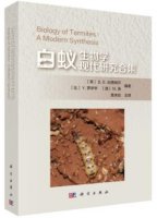 (image for) Biology of Termites: A Modern Synthesis