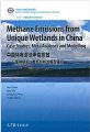 (image for) Methane Emissions From Unique Wetlands In China