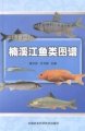 (image for) Atlas of Fishes in Nanxi River