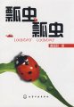 (image for) Ladybird Ladybird