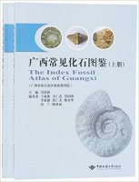 (image for) The Index Fossil Atlas of Guangxi ( in 2 volumes)