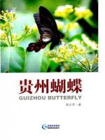 (image for) Guizhou Butterfly