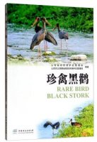 (image for) Rare Birdplack Stork