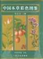 (image for) Atlas of Traditional Chinese Medicinal Plants in live Colour (Vol.2) (E-Book)