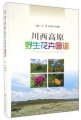(image for) Atlas of Wild Flowers in Western Sichuan Plateau